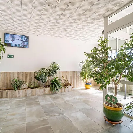Estudio Comodo A 20m De La Playa Con Terraza - Hisp-288-56